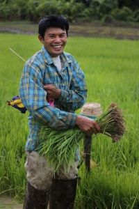 farmer image